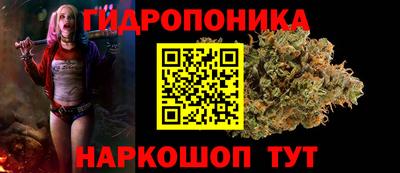 apvp Лесосибирск