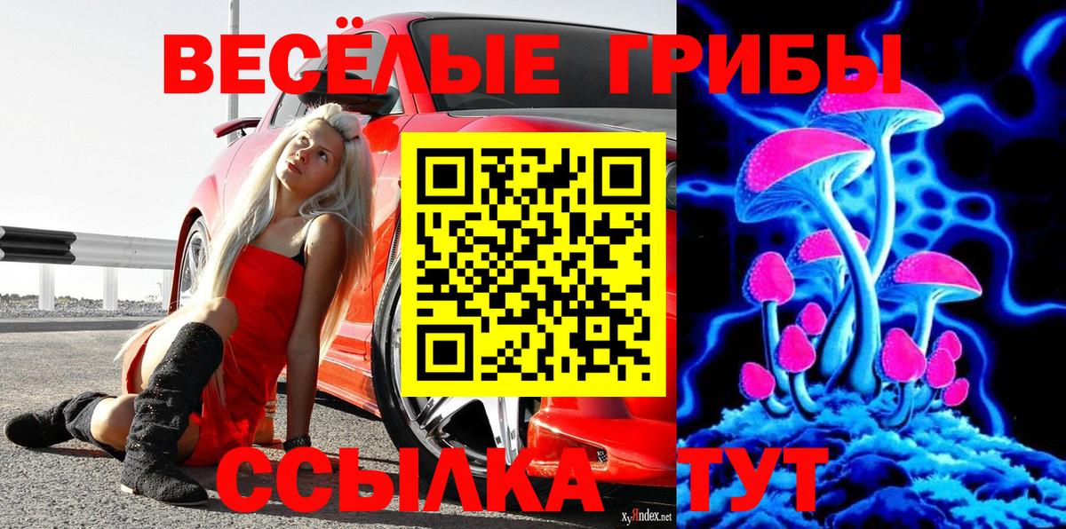 Галлюциногенные грибы Psilocybine cubensis Дзержинск