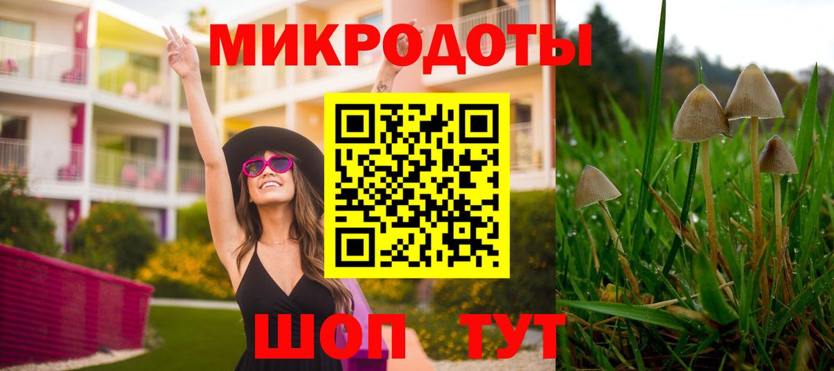 Псилоцибиновые грибы ЛСД  Вход с VPN  Дзержинск  Галлюциногенные грибы Cubensis 